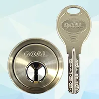 GOAL V18